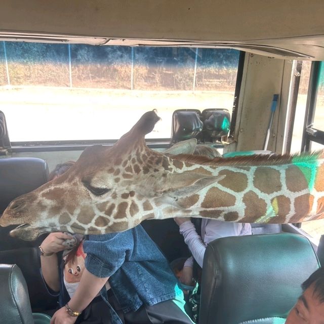 北碧府野生動物園
