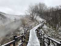 Jigokudani