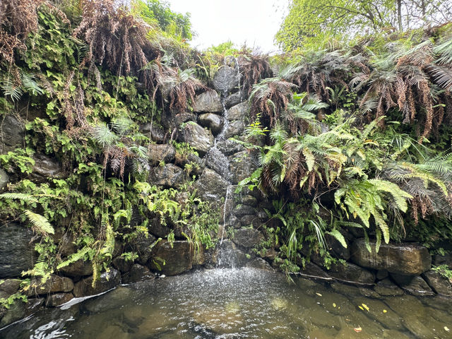 體驗台北的綠肺：大安森林公園之旅 🌳✨