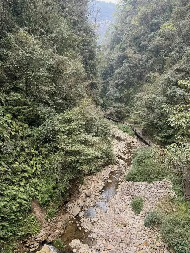 Thrill-Seeking at Zhangjiajie Grand Canyon Glass Bridge 