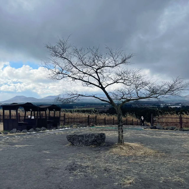 A Captivating Journey Through Jeju’s Natural Wonders 🇰🇷