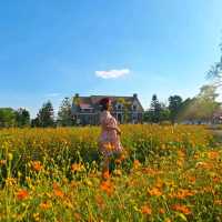 คาเฟ่โฮมมี่ สไตล์คอทเทจ🌻🌼