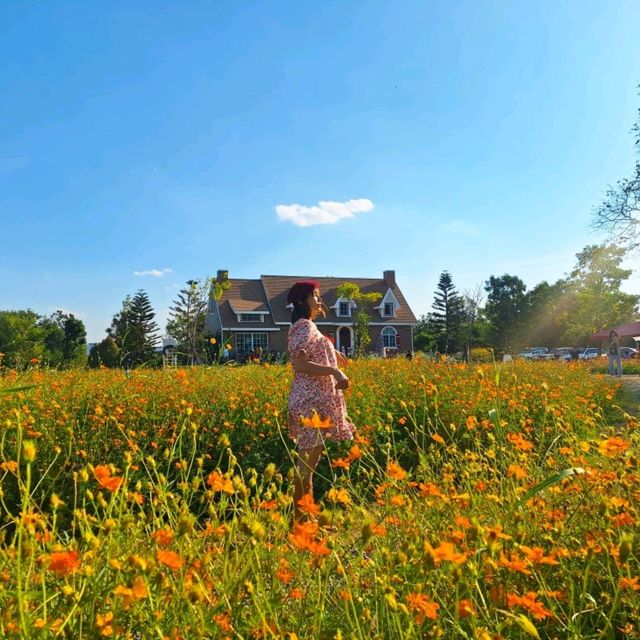 คาเฟ่โฮมมี่ สไตล์คอทเทจ🌻🌼