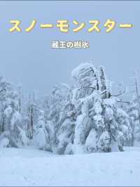 【宮城×冬の旅】  雪が生き物のよう！自然の芸術品  アイスモンスター