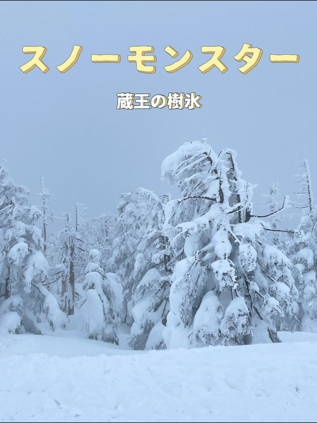 【宮城×冬の旅】  雪が生き物のよう！自然の芸術品  アイスモンスター