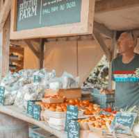 Savoring the Flavors of Matakana: A Village Delight