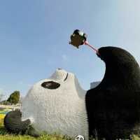 Dujiangyan one day trip 