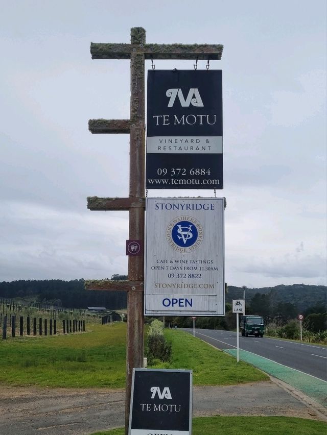 와이헤케 섬 와이너리 투어 - 스토니릿지🇳🇿