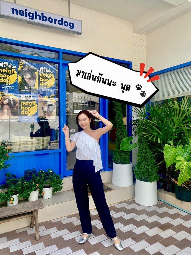 จิบกาแฟ พร้อมเล่นกับเจ้า 4 ขา ที่ Neighbor Dog