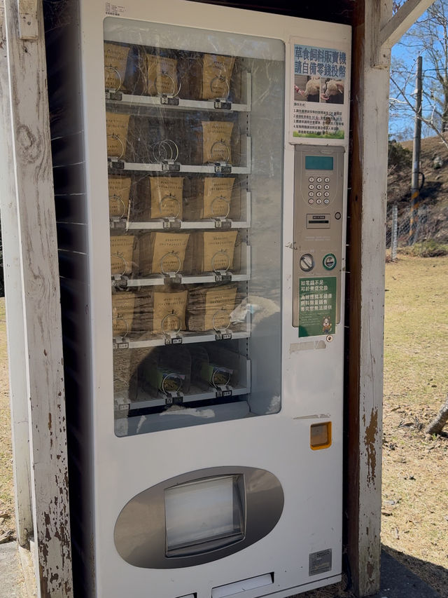 Qingjing Farm: A Mountain Escape with Sheeps