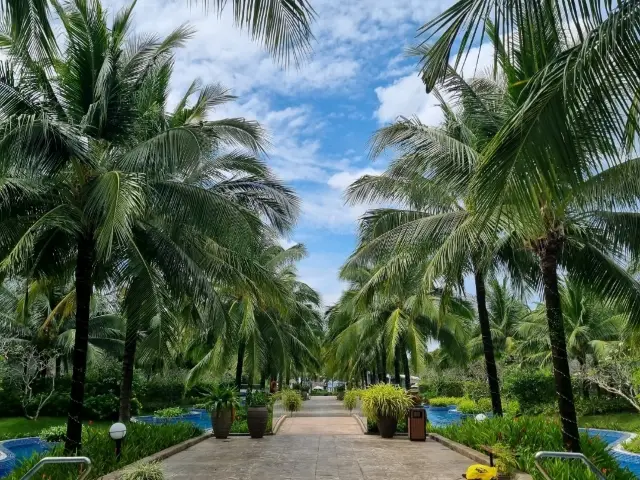 富國島之旅！