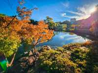 【愛知】四季折々の美を楽しむ中部地方最大級の日本庭園✨🌿