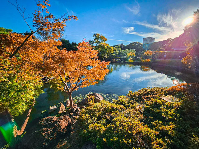 【愛知】四季折々の美を楽しむ中部地方最大級の日本庭園✨🌿