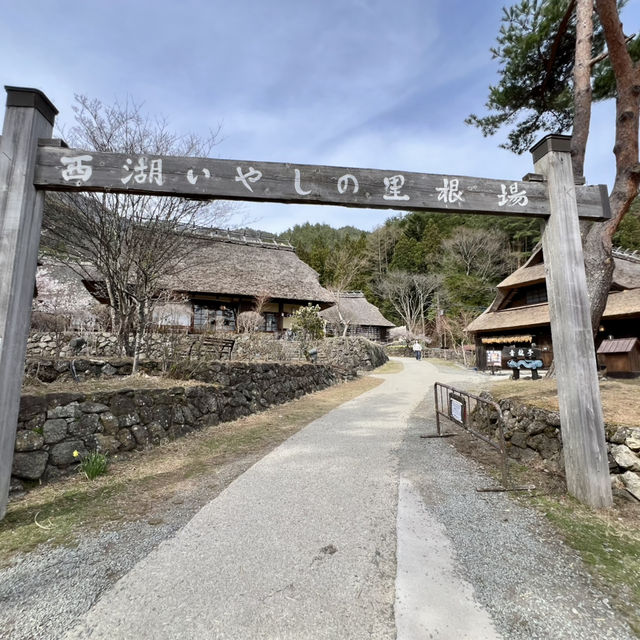 SAIKO Iyashi no sato NENBA 