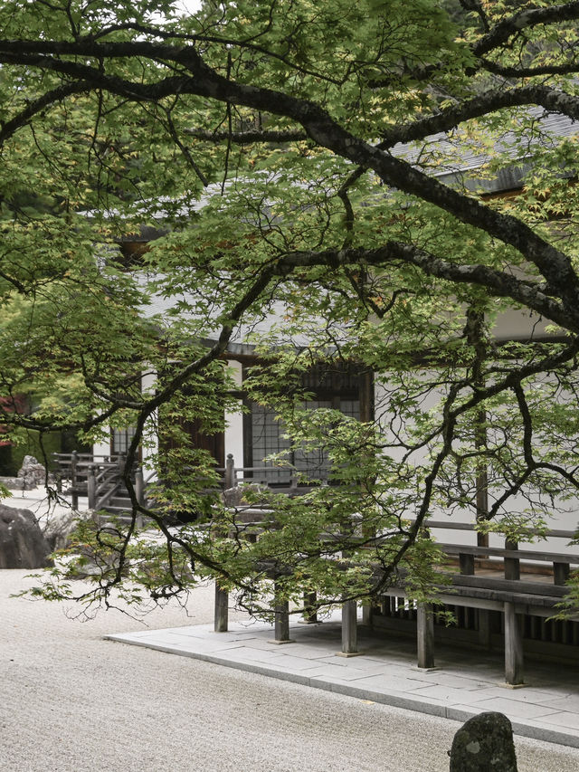 【和歌山】高野山をめぐる 金剛峯寺