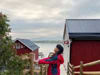 住斯沃爾韋爾Svolvær的漁民公寓真的好幸福喔😍！