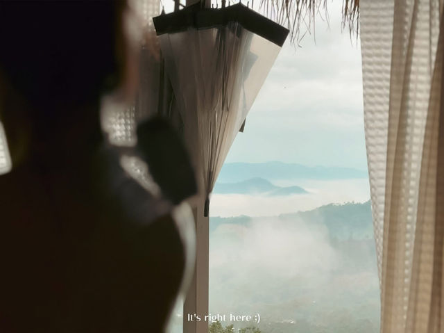 𝑫𝒐𝒊 𝑪𝒉𝒂𝒏𝒈  𝑪𝒉𝒊𝒂𝒏𝒈 𝑹𝒂𝒊 🍃  ดอยช้าง
