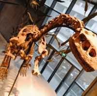 Natural History Museum - Shanghai