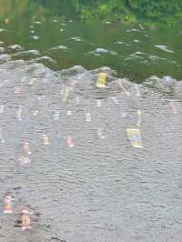 【のぼり鯉は水の中も泳ぐ】