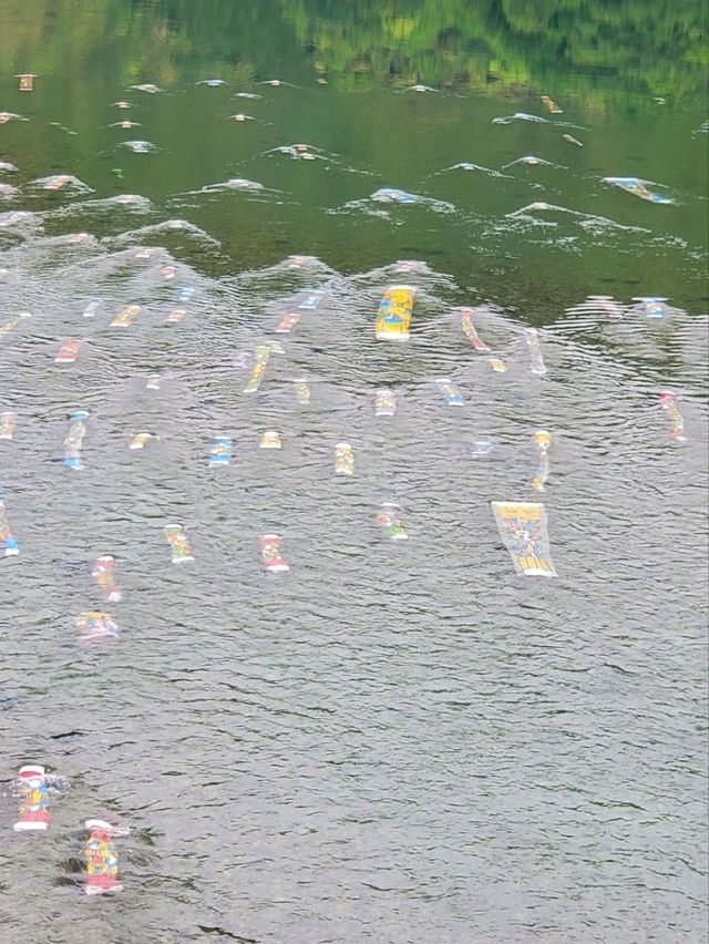 【のぼり鯉は水の中も泳ぐ】