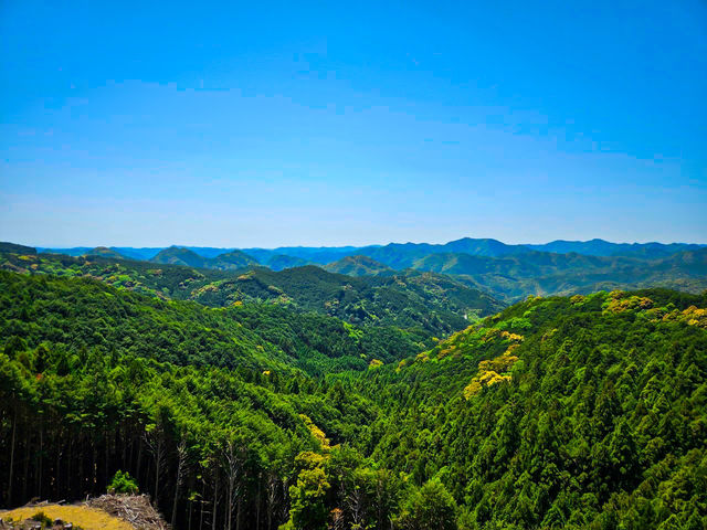 【和歌山】自然を満喫しながら、のんびりと過ごせるキャンプ場