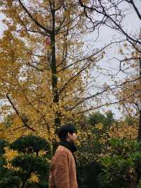 ✨Easy Day trip in Chengdu 