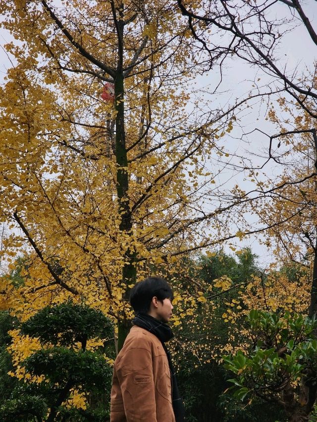 ✨Easy Day trip in Chengdu 