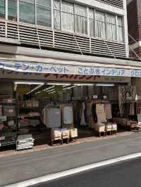 🇯🇵東京特色尋寶之地 – 巢鴨🪿地藏通商店街