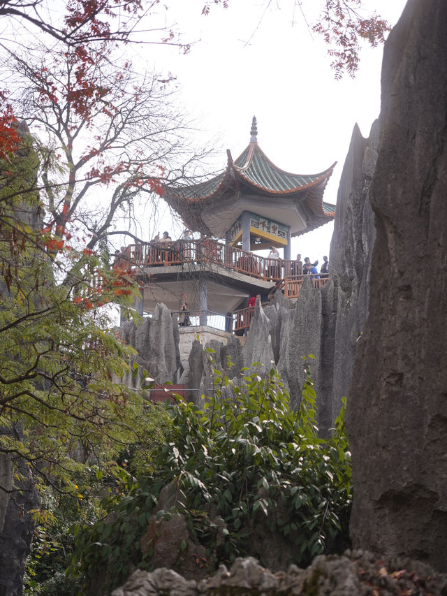 A Breathtaking Escape to Kunming’s Stone Forest – My Favorite Itinerary