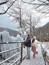 눈맞으며 힐링하기 좋은 대전여행지❄️