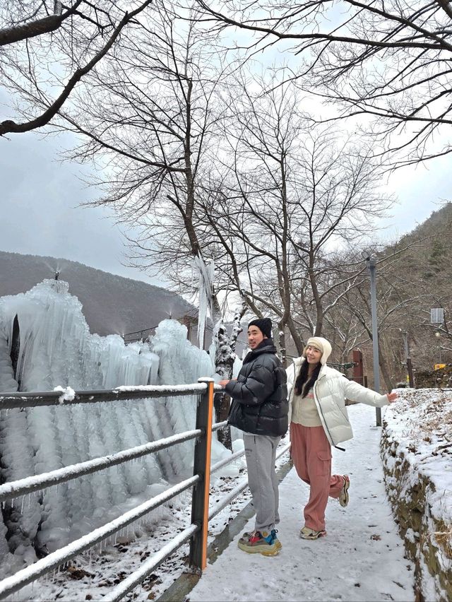 눈맞으며 힐링하기 좋은 대전여행지❄️