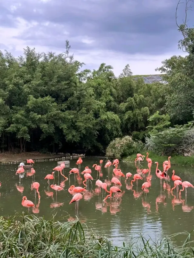 ✨Amusement Park in Vietnam 
