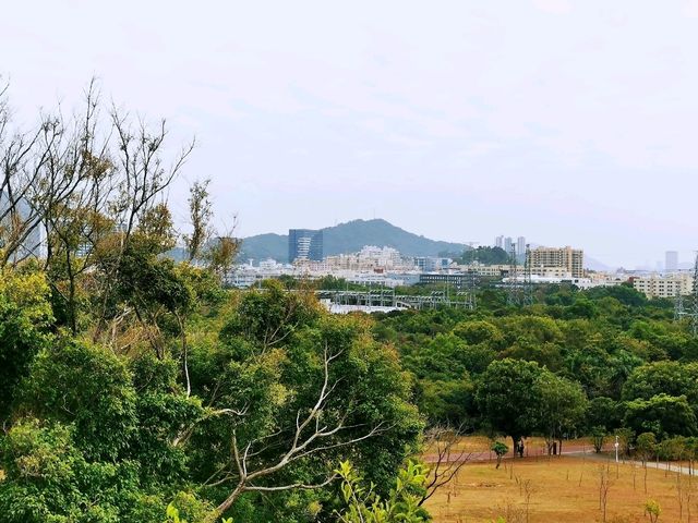 陌上花園浪漫花海