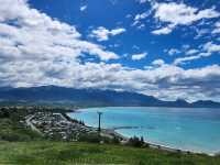 [뉴질랜드] 카이코우라를 한 눈에 내려다 볼 수 있는 전망대 'Kaikoura Lookout'