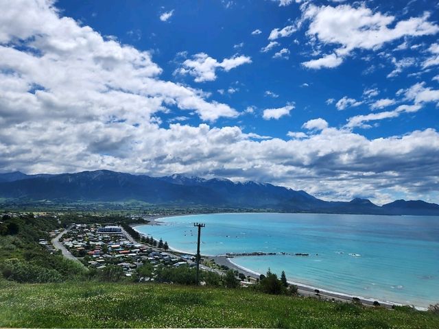 [뉴질랜드] 카이코우라를 한 눈에 내려다 볼 수 있는 전망대 'Kaikoura Lookout'