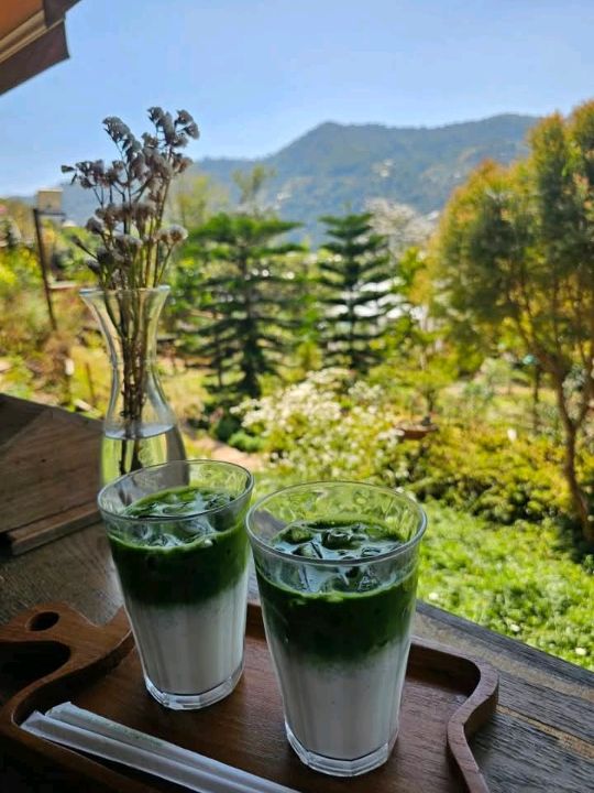 Mori Natural Farm เป็นฟาร์มสเตย์สไตล์ญี่ปุ่น
