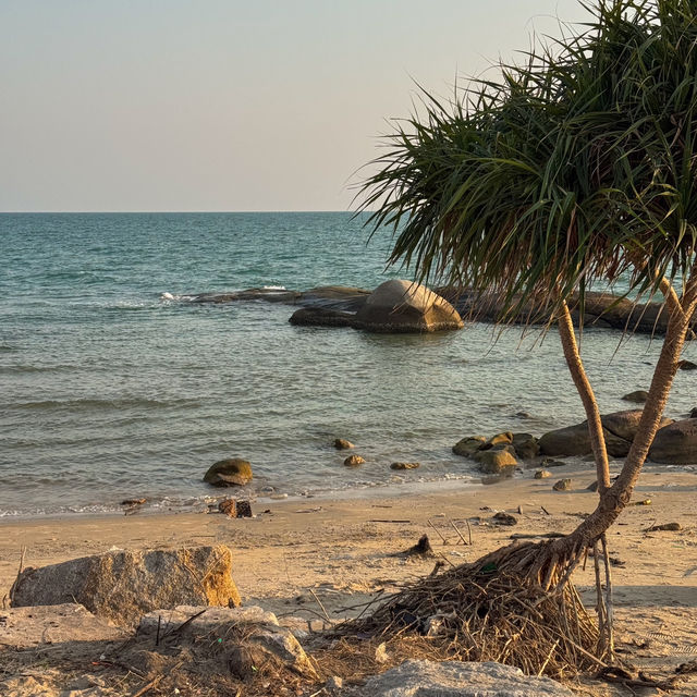 “ลานหินขาว” จ.ระยอง จุดชมพระอาทิตย์ตกที่สวยมาก🏝️🌅