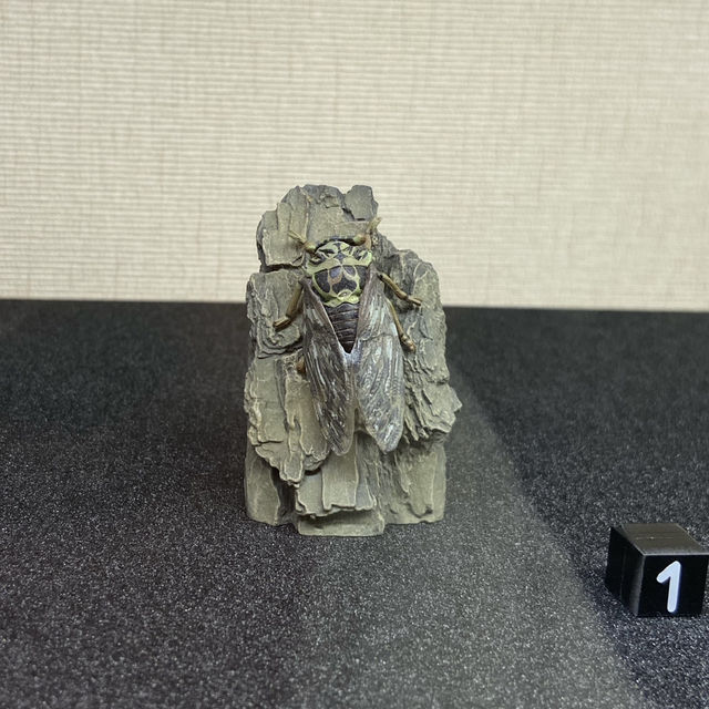  鳴蟲之聲—細聽自然的藝術與文化