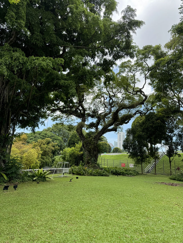 不一樣的路線 花園城市新加坡 慢遊攻略