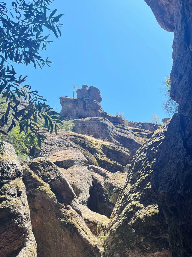 Exploring Pinnacles National Park – A Gem in the Heart of California  