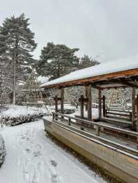 【金沢】幻想的な雪景色の兼六園