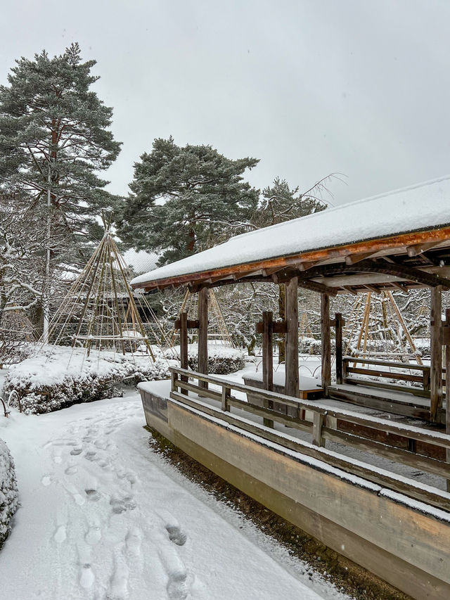 【金沢】幻想的な雪景色の兼六園
