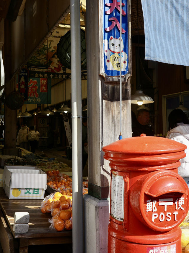 📍久礼大正町市場/高知