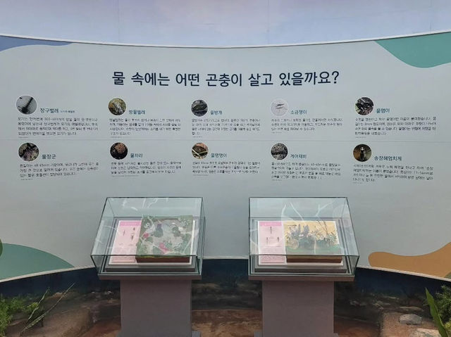 경상북도 상주시 곤충 생태 전시관 입니다.