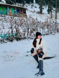 ❄️ Thrill & Chill: Skiing in Gulmarg! ⛷️🏔️
