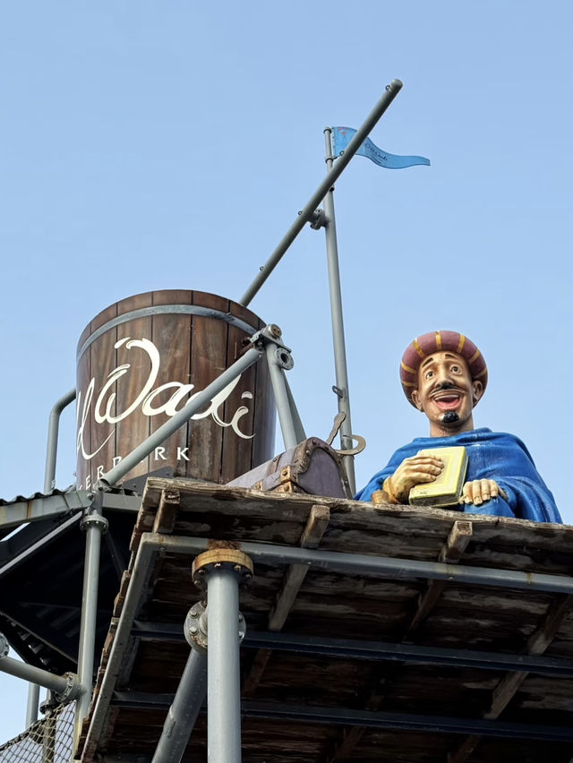Wild Wadi Water Park: A Splash of Adventure in Dubai