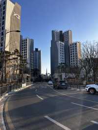 석양빛이 예술공원로를  금빛으로 물들이는 곳 안양예술공원 예술공원로🇰🇷
