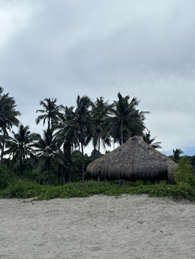 Pantai Palamoko: Sumba’s Untouched Coastal Escape 🌊✨