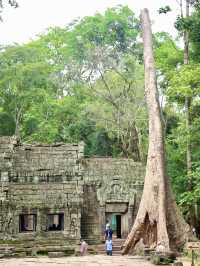 The Mystical Allure of Ta Prohm – A Journey Through Time