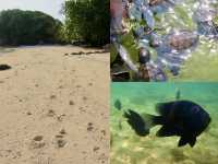 Island Bliss: A Journey to Gem Island Resort & Spa
